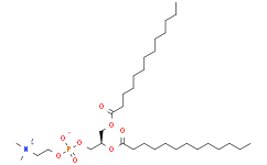 1,2-Ditridecanoyl-sn-glycero-3-phosphocholine 71242-28-9